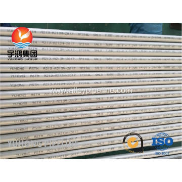 ASTM A213 TP316L SMLS SS Tube